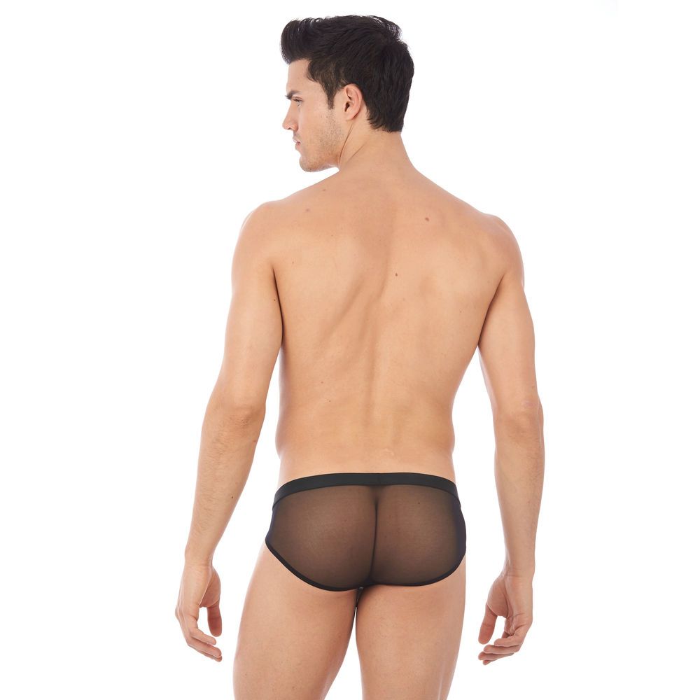 GREGG HOMME ERUPT BRIEFS