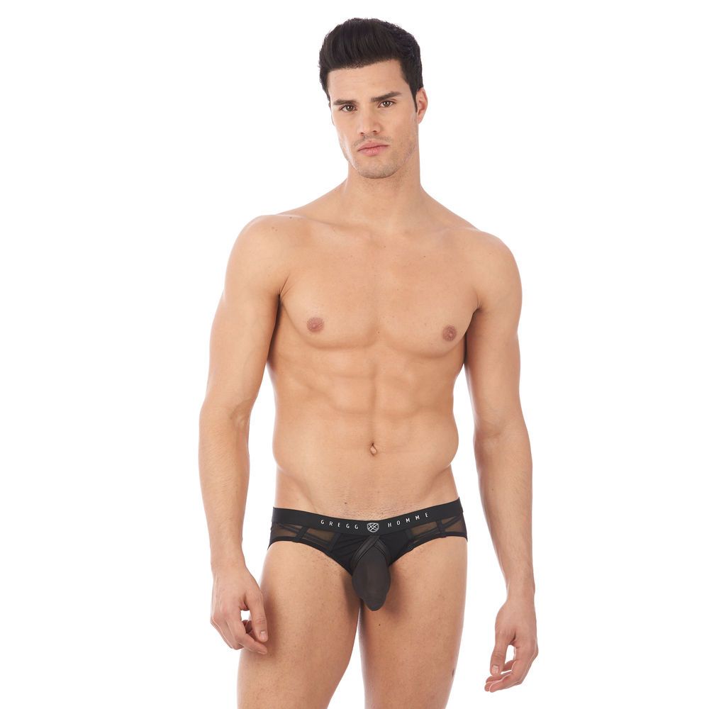 GREGG HOMME ERUPT BRIEFS