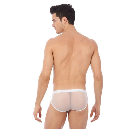 GREGG HOMME ERUPT BRIEFS