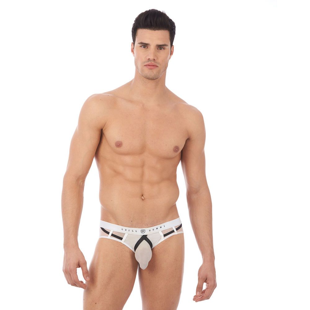 GREGG HOMME ERUPT BRIEFS