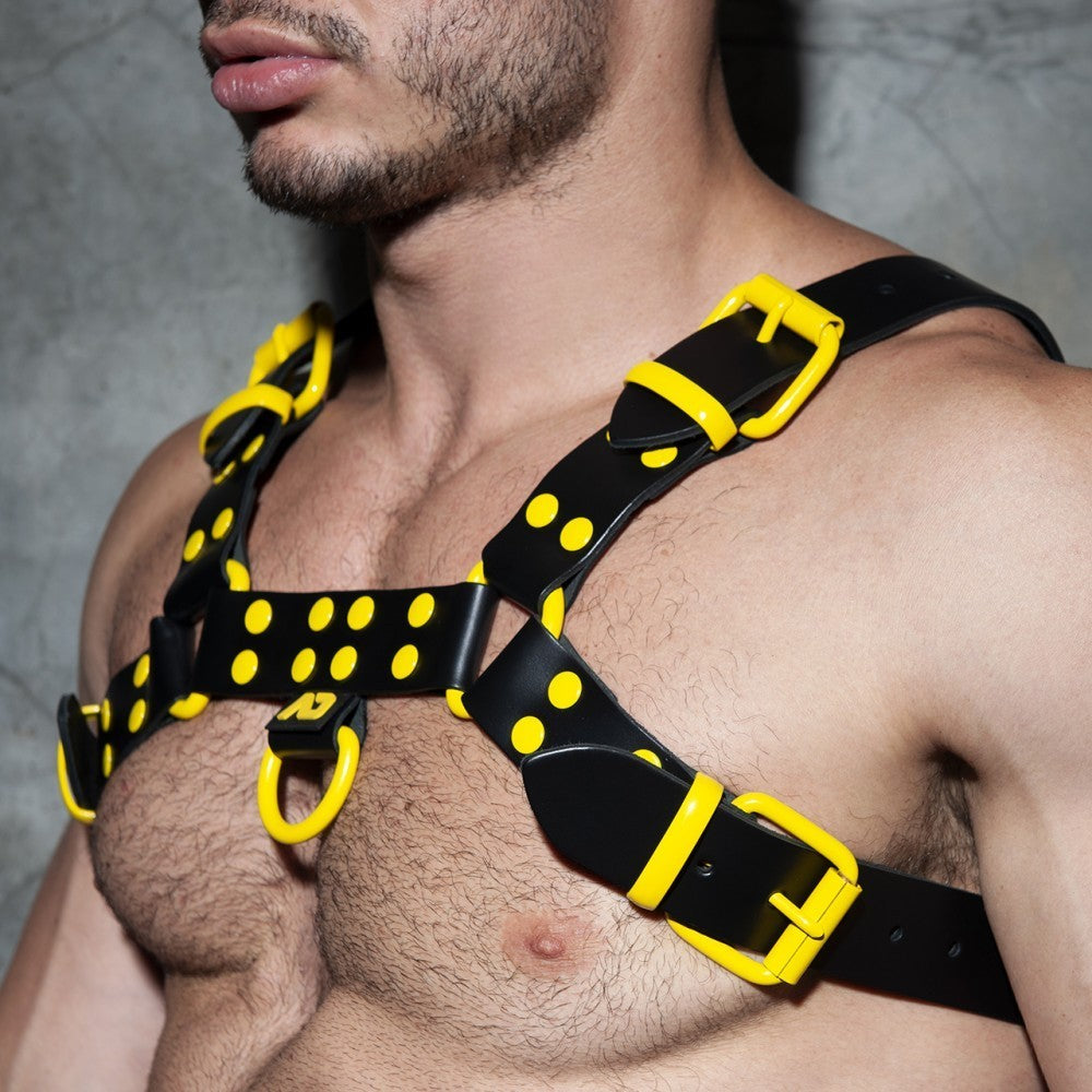 LEATHER COLOR HARNESS